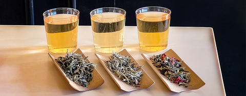 Todo lo que necesitas saber sobre el té blanco