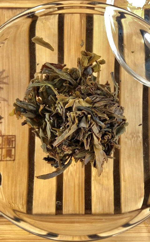 Círculo de Té: Experiencia Jingmai Gushu - Soy Té