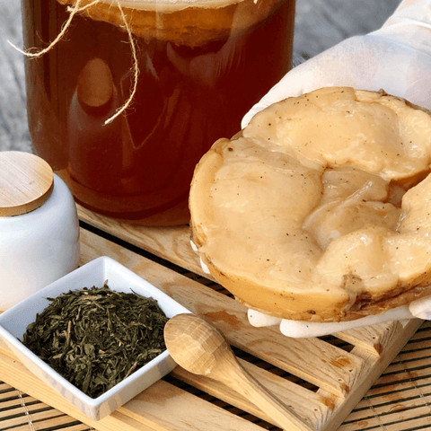 Conoce los beneficios de beber kombucha - Soy Té