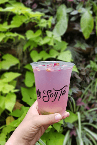 Pink Tea Lemonade - Receta - Soy Té
