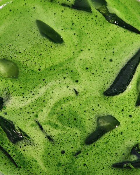 Informe de la industria del matcha - julio del 2025