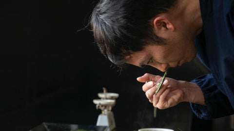 Kagoshima: la alternativa que nos salvará de la escasez de matcha