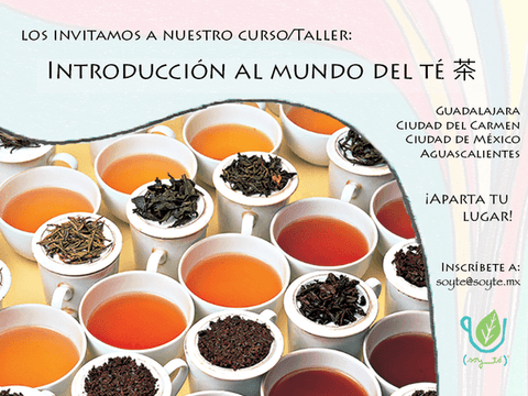 Esparciendo la Cultura del Té en México - Soy Té