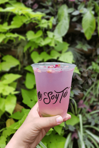 Pink Lemon Tea Pink Tea Lemonade - Receta – Soy Té