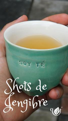 Shots de Jengibre - Soy Té