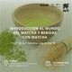 Taller Introductorio al mundo del Matcha