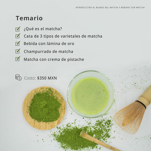 Taller Introductorio al mundo del Matcha