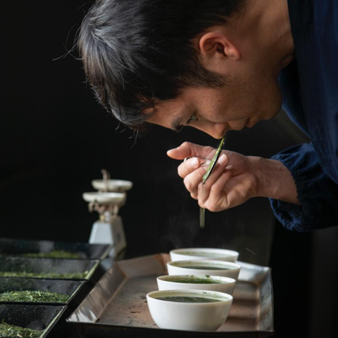Matcha Ceremonial por Furuichi San (Kagoshima, Japón)